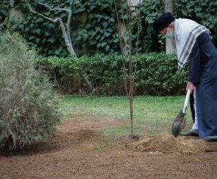 کاشت دو نهال توسط رهبر انقلاب