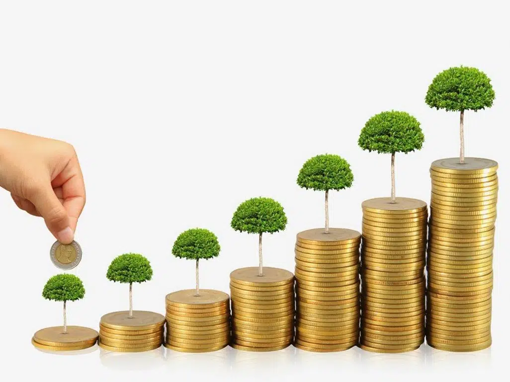  افزایش سرمایه صندوق حمایت از توسعه بخش کشاورزی استان کرمان