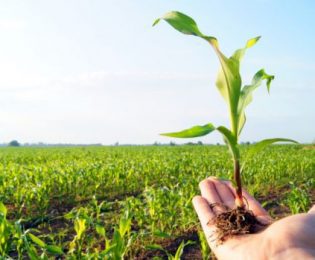 آگهی حق تقدم  افزایش سرمایه مرحله۲۰ صندوق حمایت از توسعه بخش کشاورزی استان کرمان