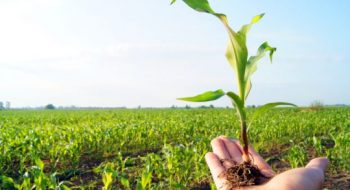 آگهی حق تقدم  افزایش سرمایه مرحله۲۰ صندوق حمایت از توسعه بخش کشاورزی استان کرمان