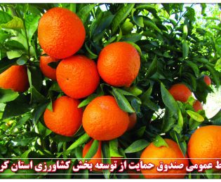 پرداخت مبلغ ۱۵۰.۰۰۰.۰۰۰.۰۰۰ ریال تسهیلات بابت خرید میوه شب  عیدصندوق حمایت از توسعه بخش کشاورزی استان کرمان به اتحادیه تعاونی روستایی