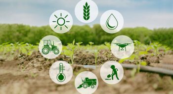 گزارش وضعیت عملکرد  شش ماهه اول سال مالی منتهی به ۳۰ آذر ماه  ۱۴۰۲