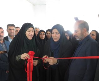 افتتاح کارگاه تولید سرکه خرما زنان روستایی باغچمک بم