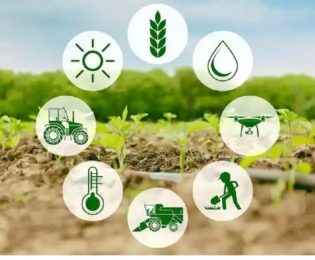 پیام تبریک مدیر عامل صندوق به مناسبت روز مهندس