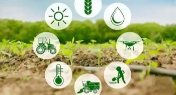 پیام تبریک مدیر عامل صندوق به مناسبت روز مهندس