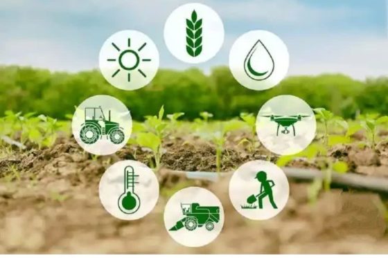 پیام تبریک مدیر عامل صندوق کرمان به مناسبت روز مهندس