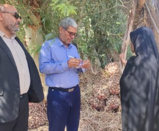 رایزنی مدیر عامل صندوق کرمان در خرید محصول سیر در شهداد